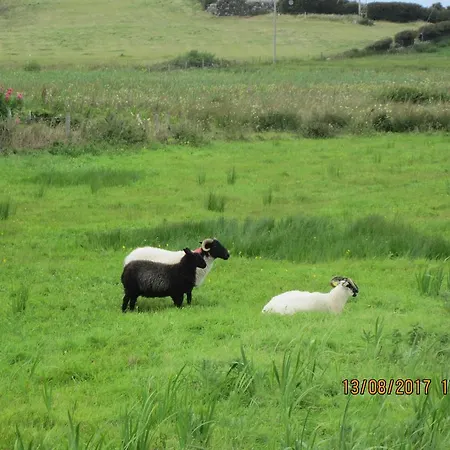 Cois Na Mara
