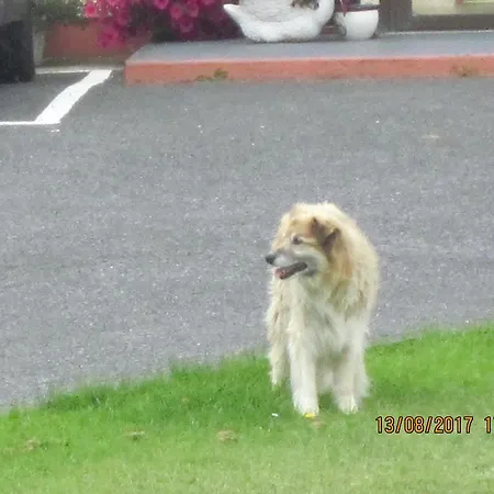 Cois Na Mara Cleggan