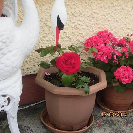 Cois Na Mara Bed & Breakfast