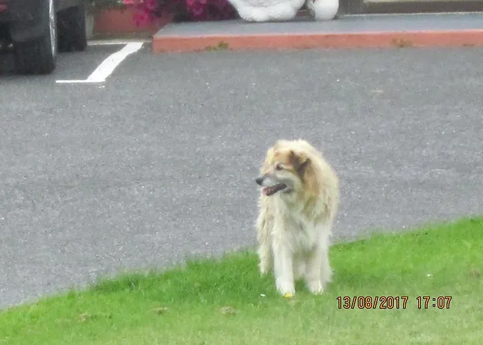 Cois Na Mara Cleggan